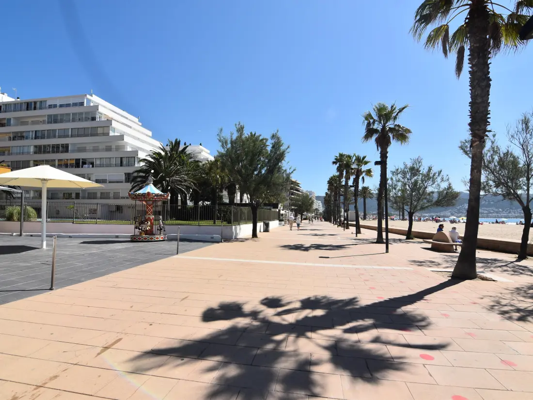 Location de Vacances Roses 598