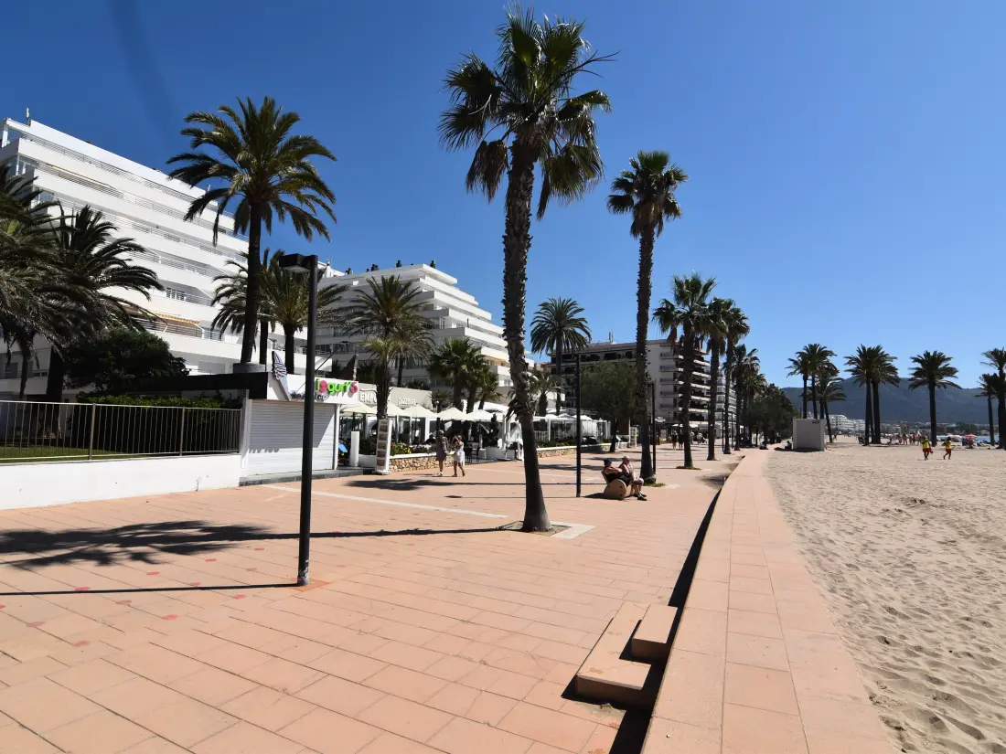 Location de Vacances Roses 598