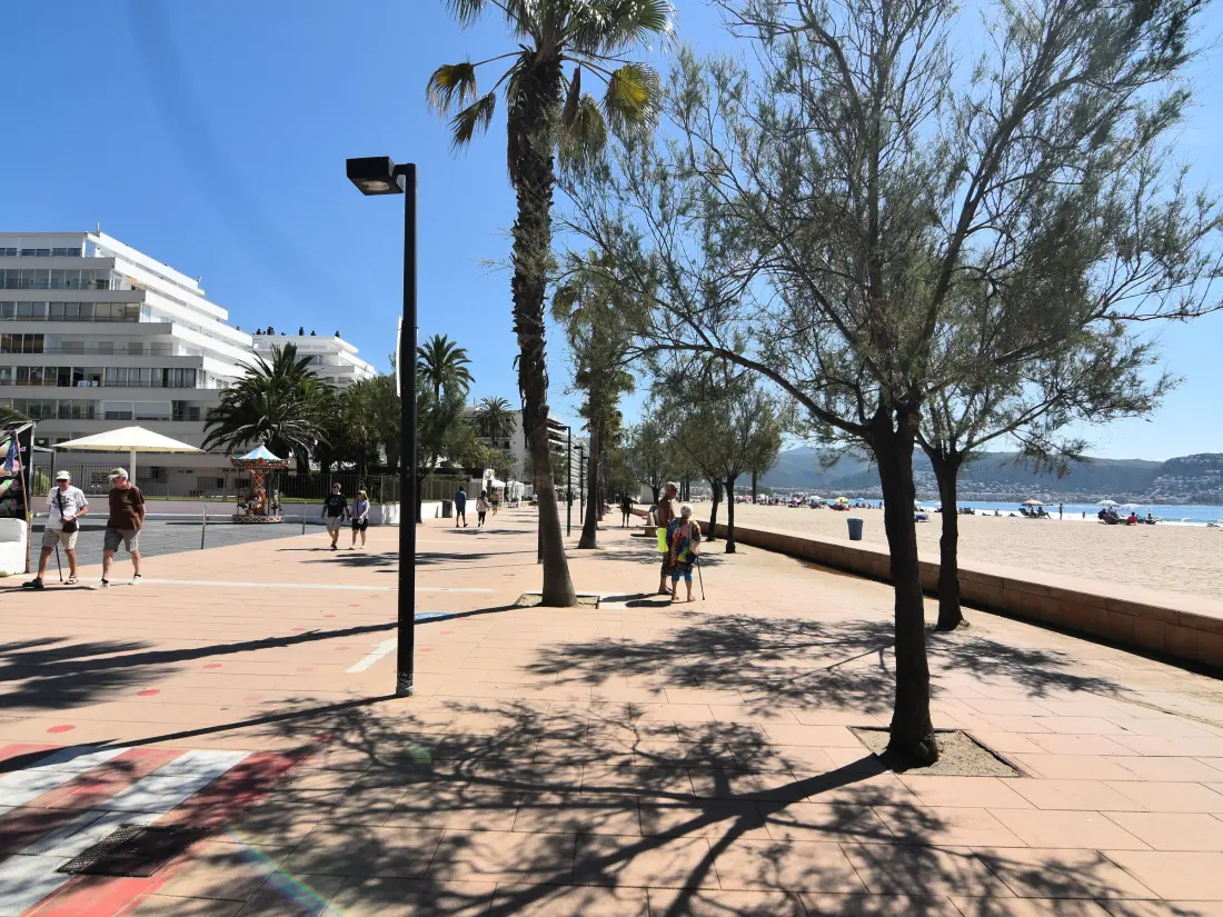 Location de Vacances Roses 598