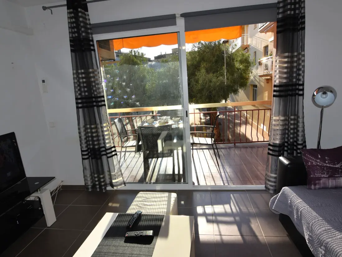 Location de Vacances Roses 605
