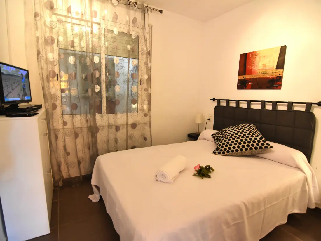 Location de Vacances Roses 605
