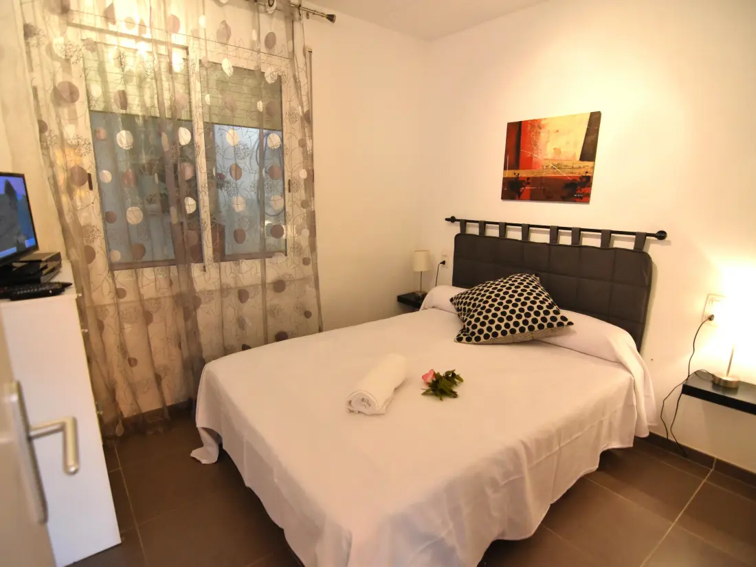 Location de Vacances Roses 605