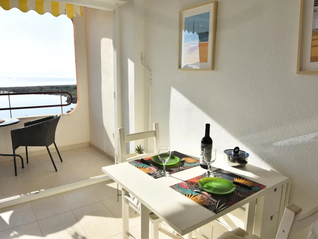 Location de Vacances Roses 609