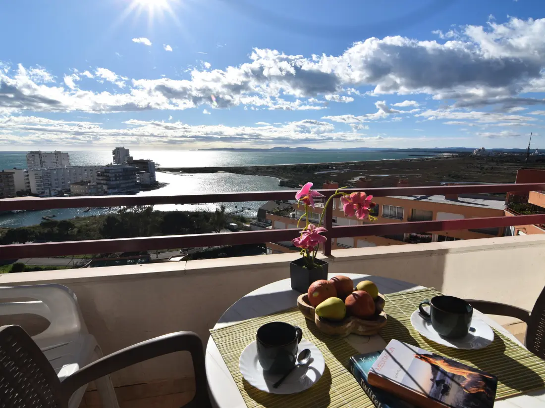 Location de Vacances Roses 610