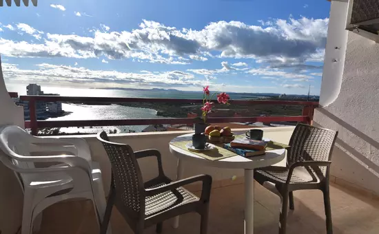 Location de Vacances Roses 610