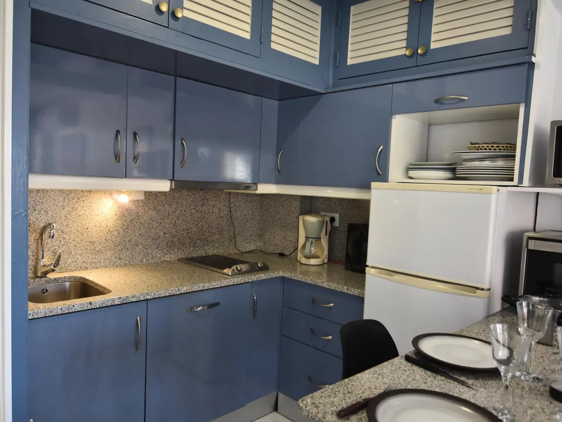 Location de Vacances Roses 618