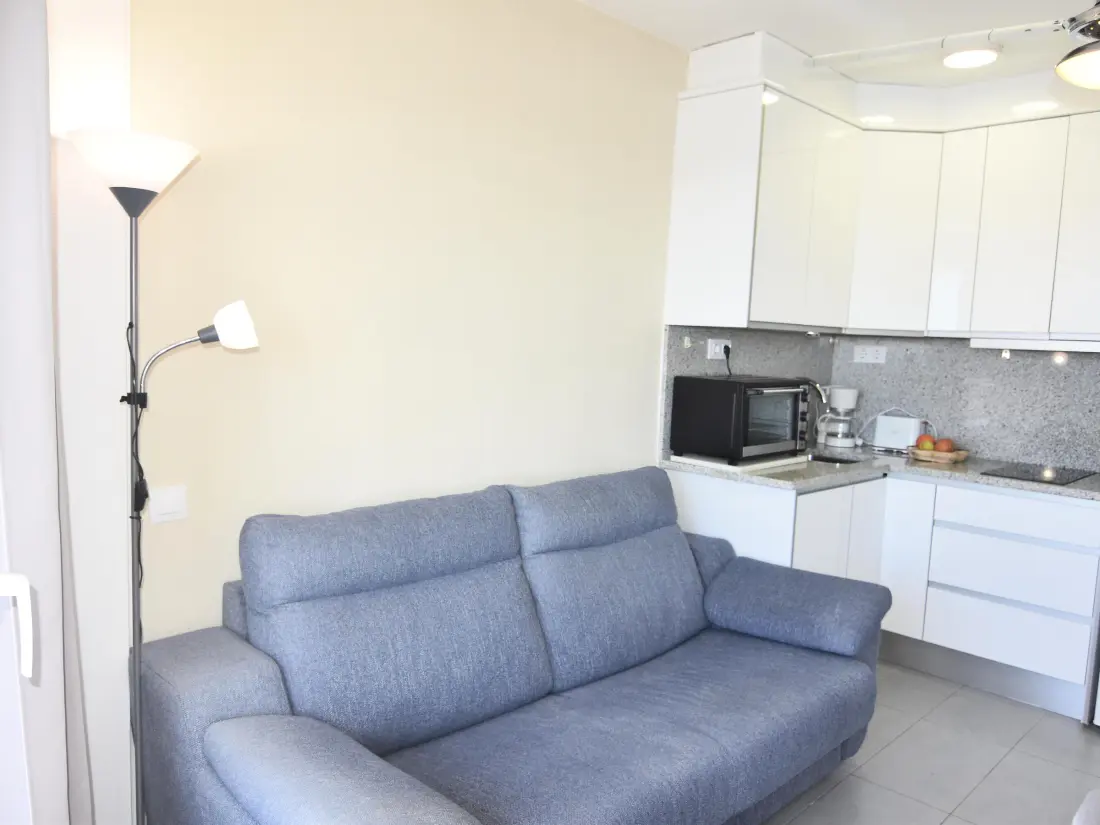 Location de Vacances Roses 619