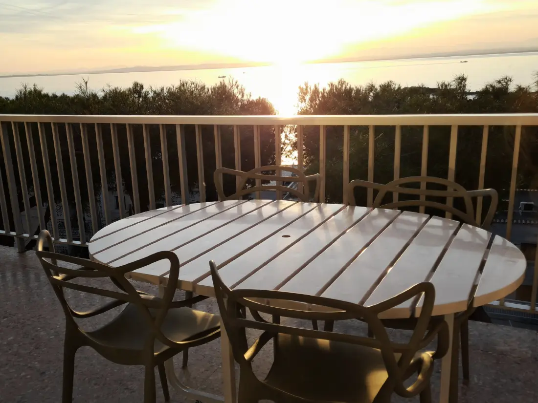 Location de Vacances Roses 629