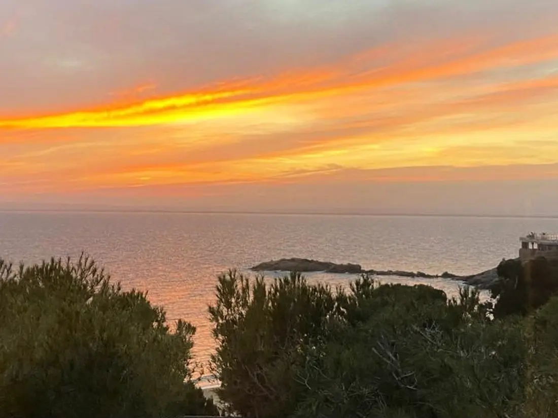 Location de Vacances Roses 629