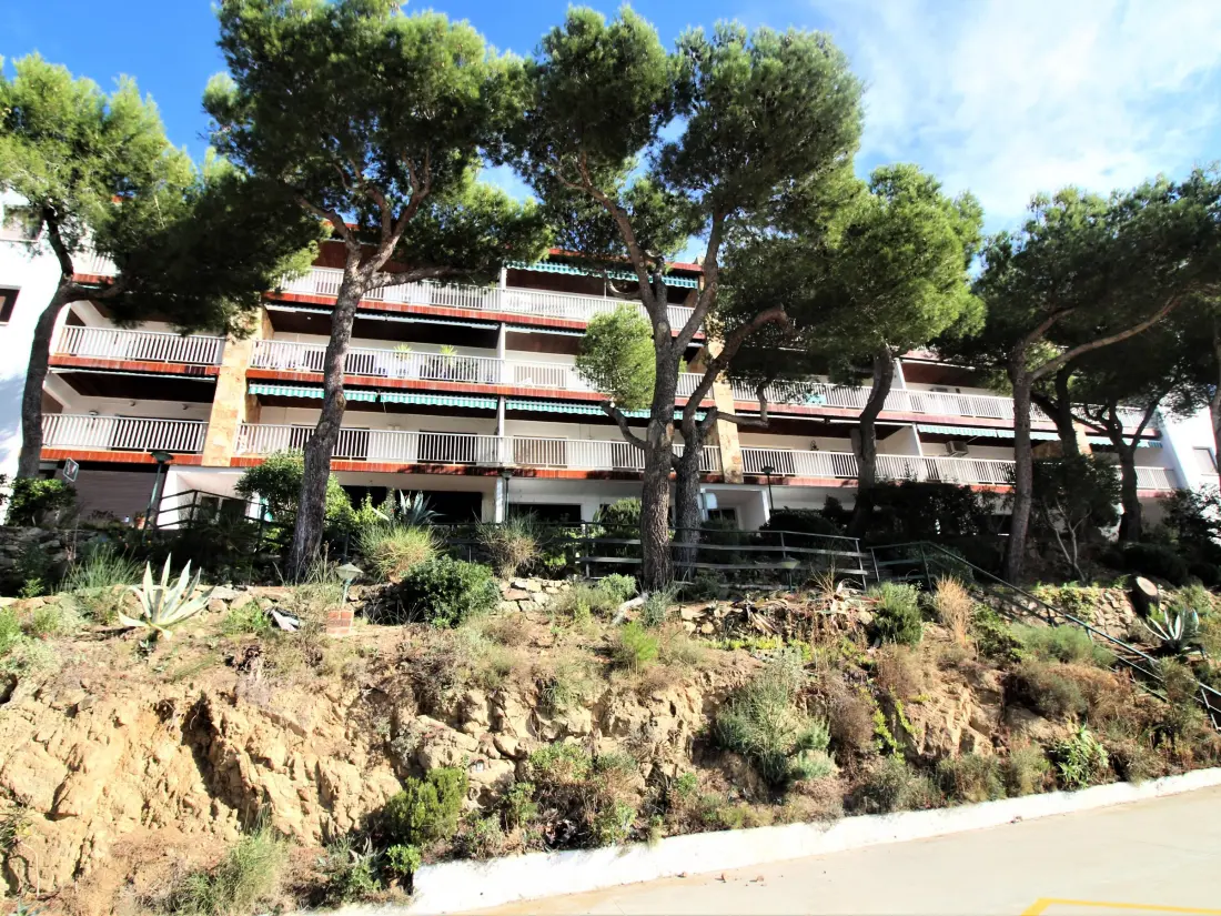 Location de Vacances Roses 629
