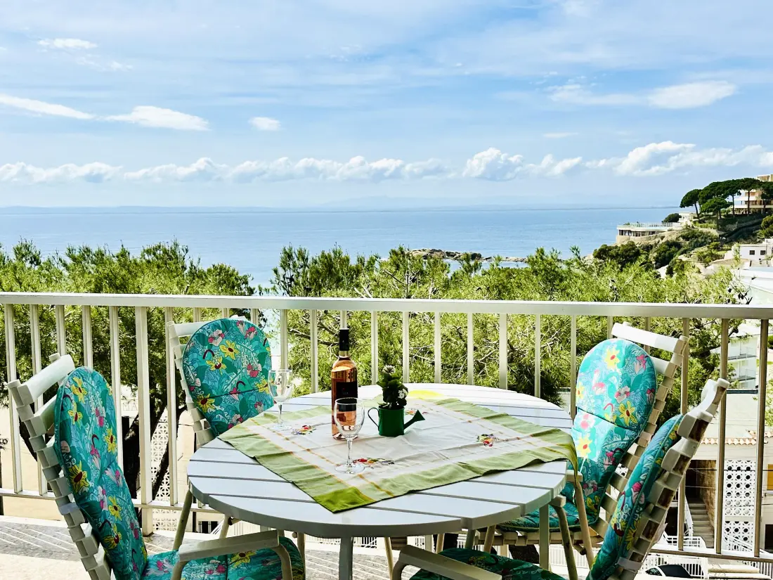 Location de Vacances Roses 629