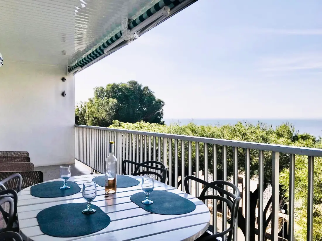 Location de Vacances Roses 629