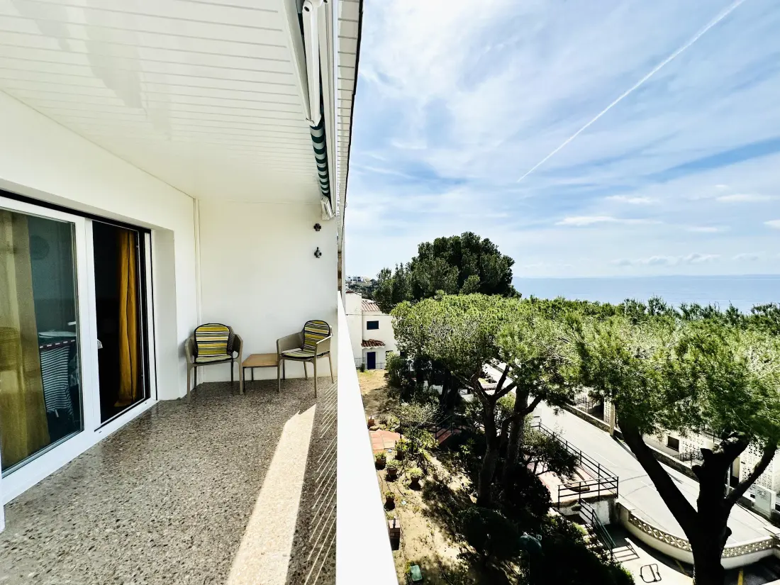 Location de Vacances Roses 629
