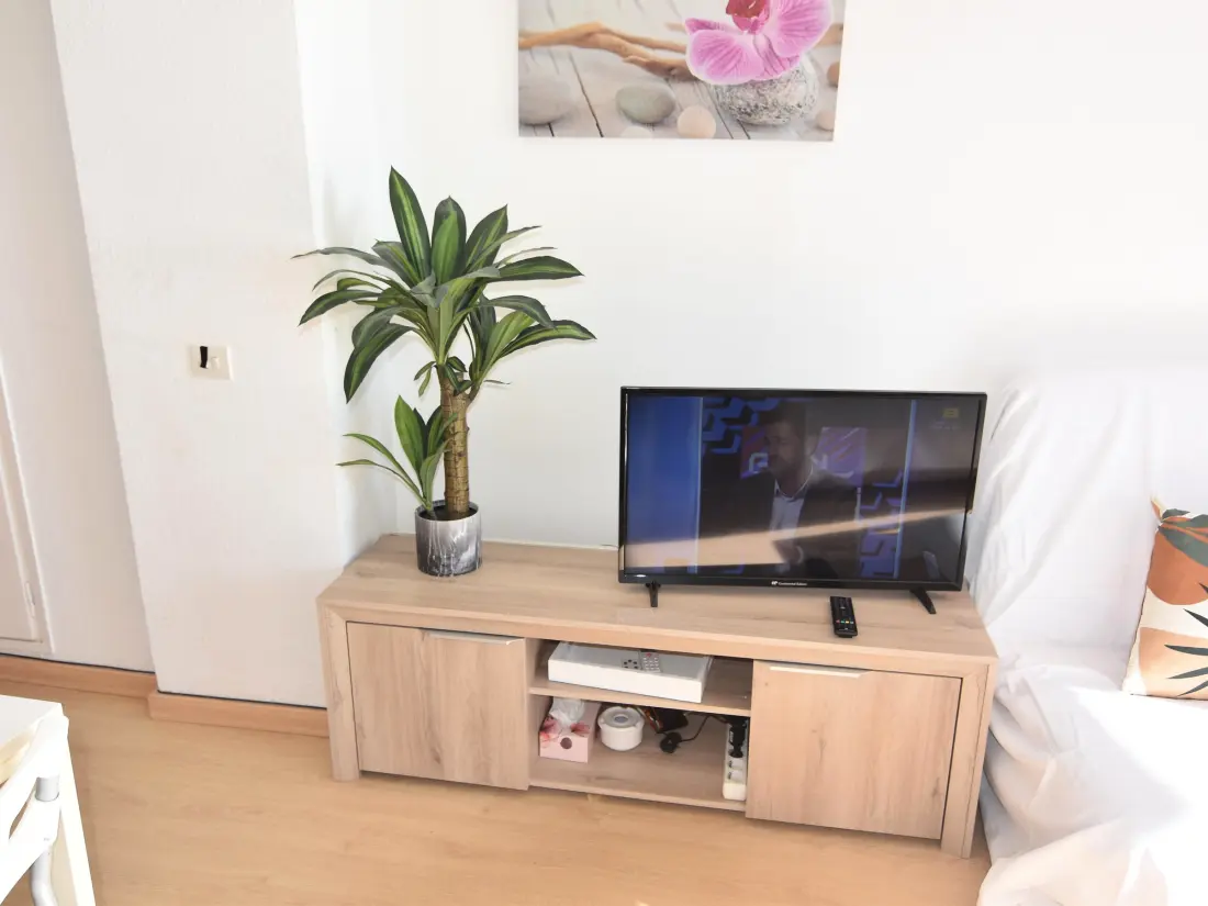 Location de Vacances Roses 633