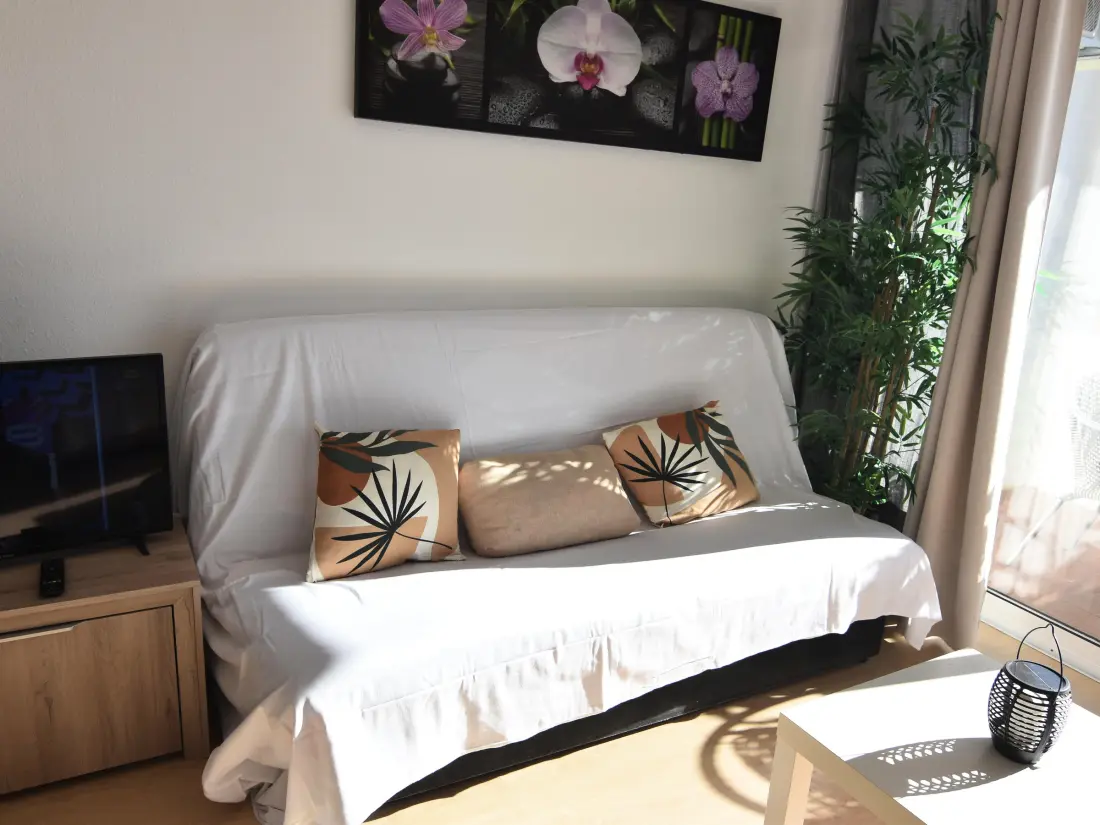 Location de Vacances Roses 633