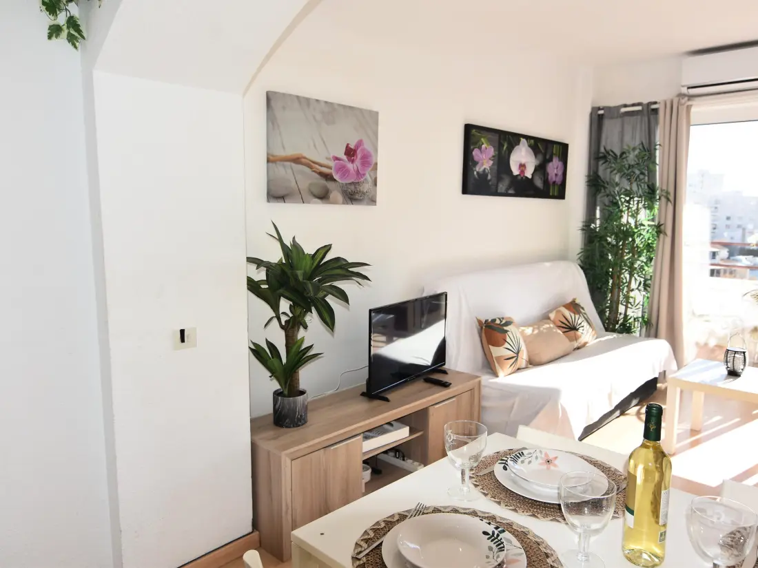 Location de Vacances Roses 633