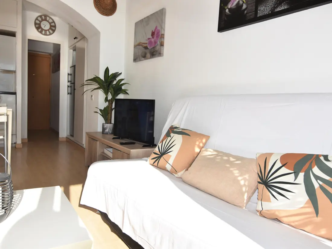 Location de Vacances Roses 633