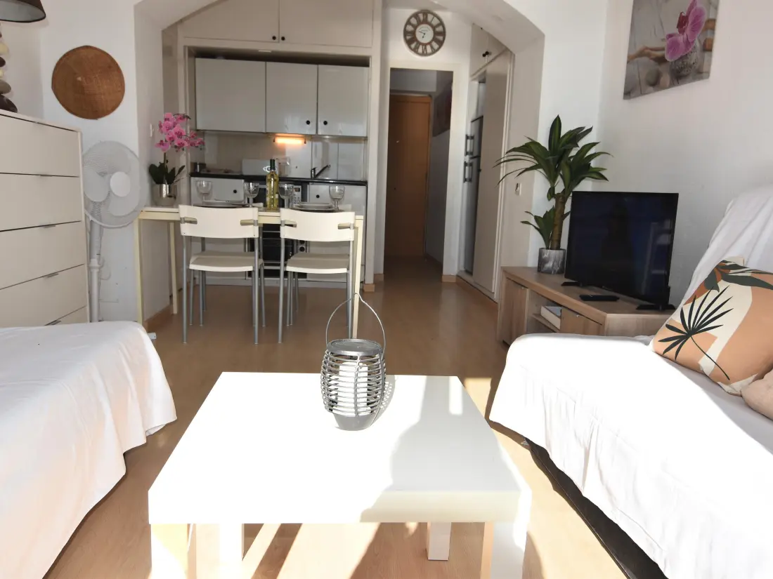 Location de Vacances Roses 633