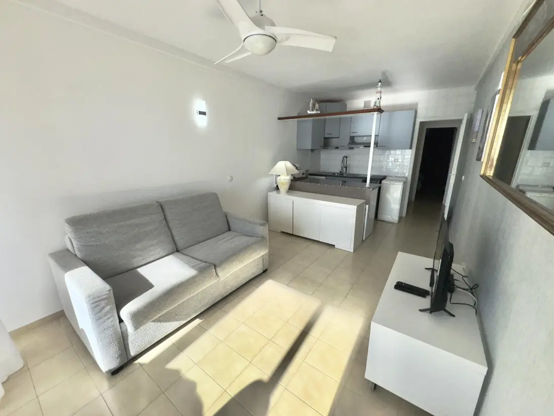 Location de Vacances Roses 635