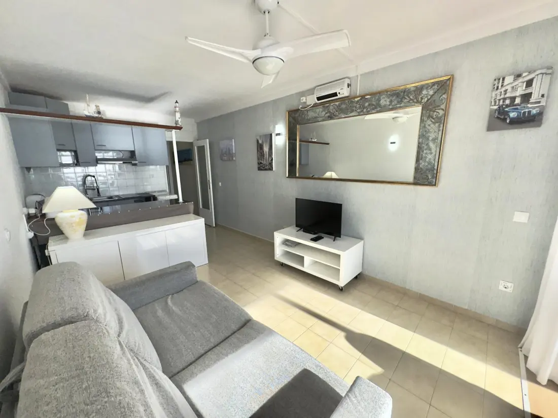 Location de Vacances Roses 635