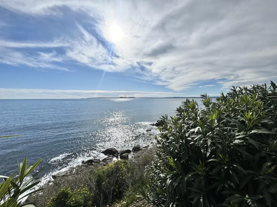 Location de Vacances Roses 635