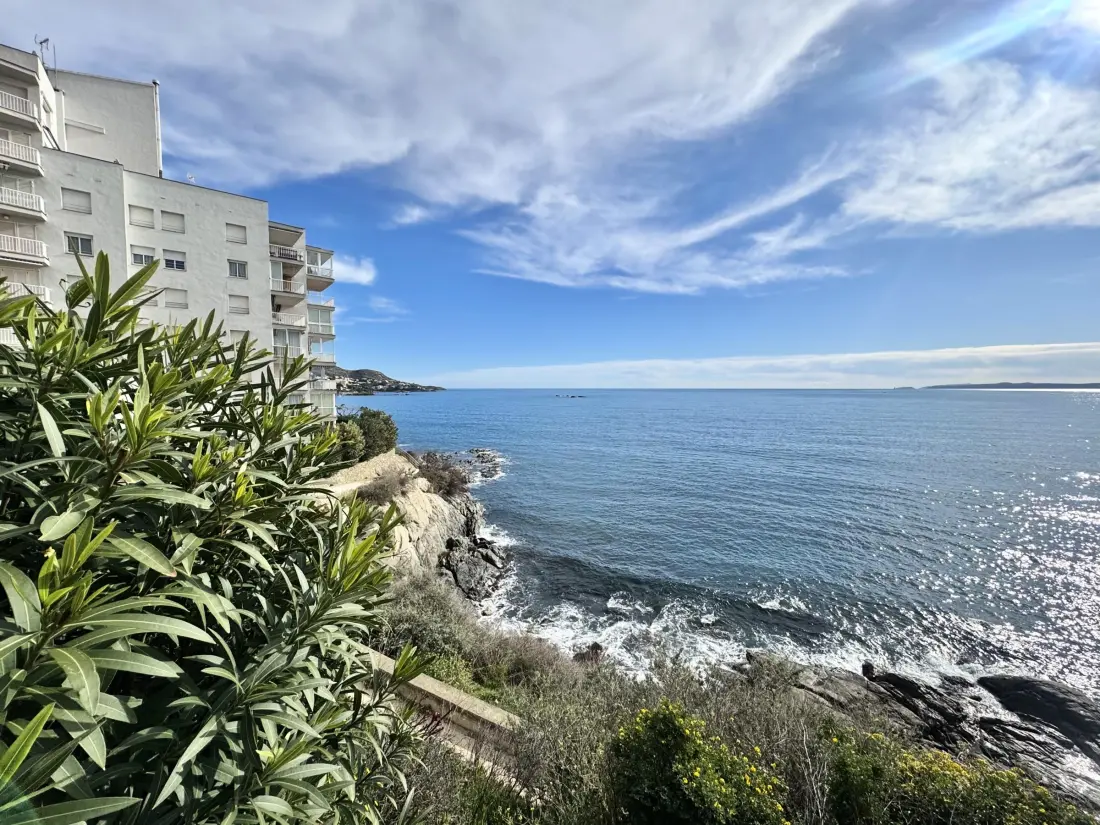 Location de Vacances Roses 635