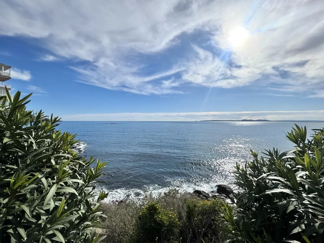 Location de Vacances Roses 635