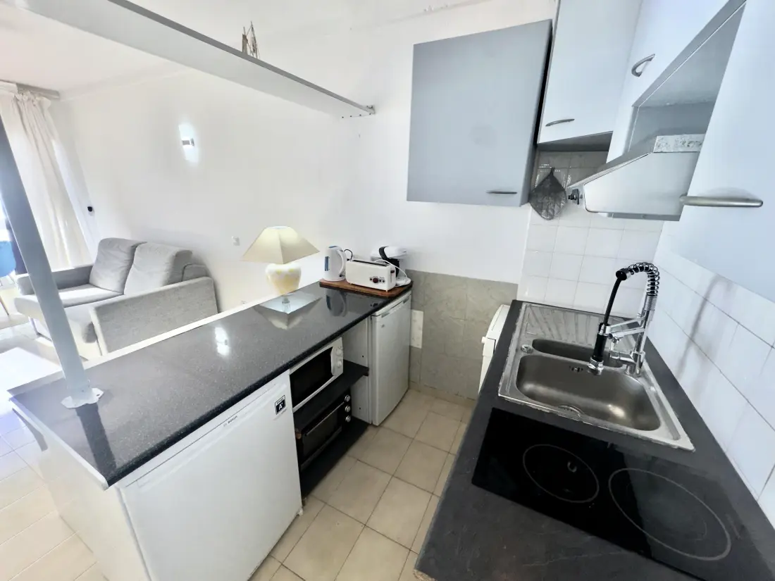 Location de Vacances Roses 635
