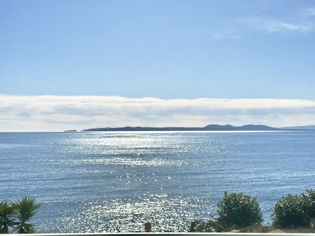 Location de Vacances Roses 635