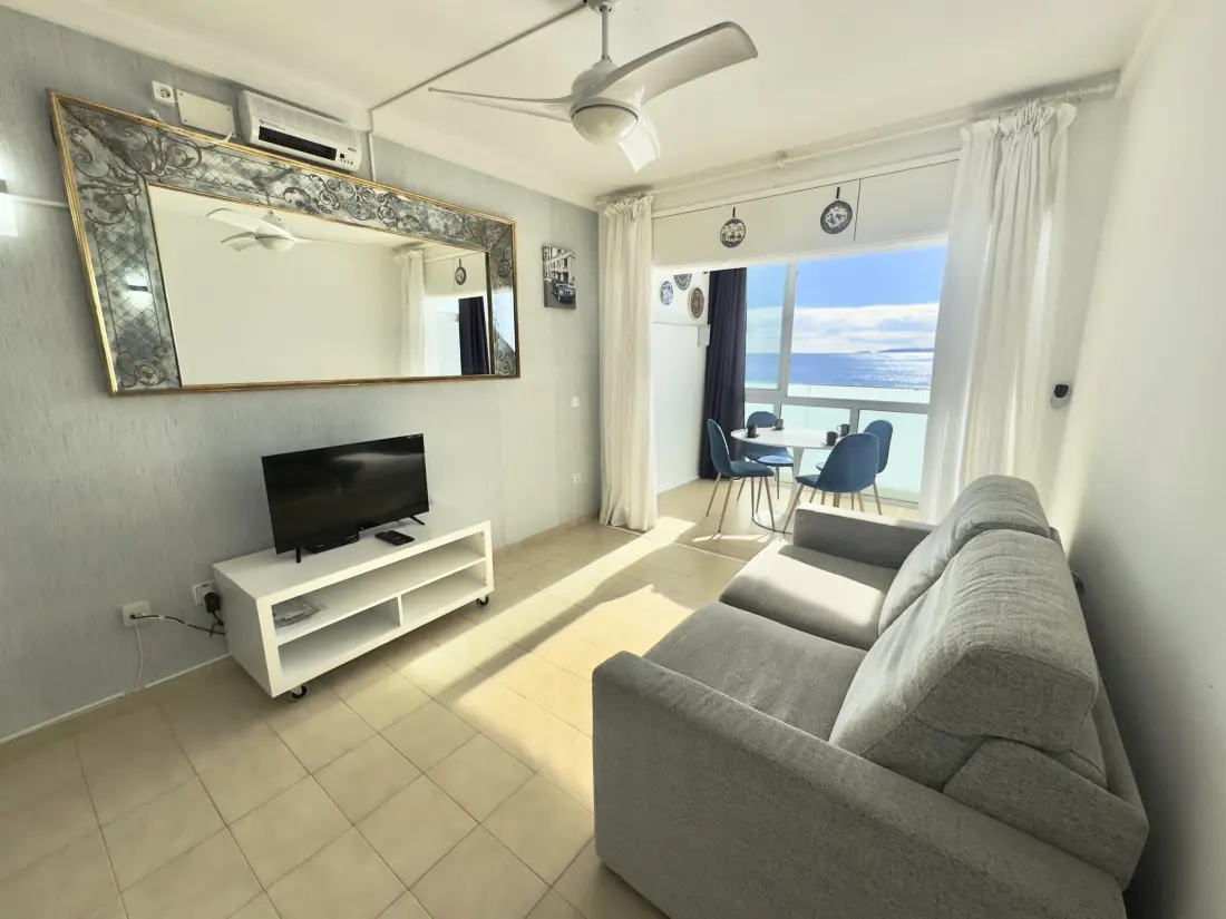 Location de Vacances Roses 635