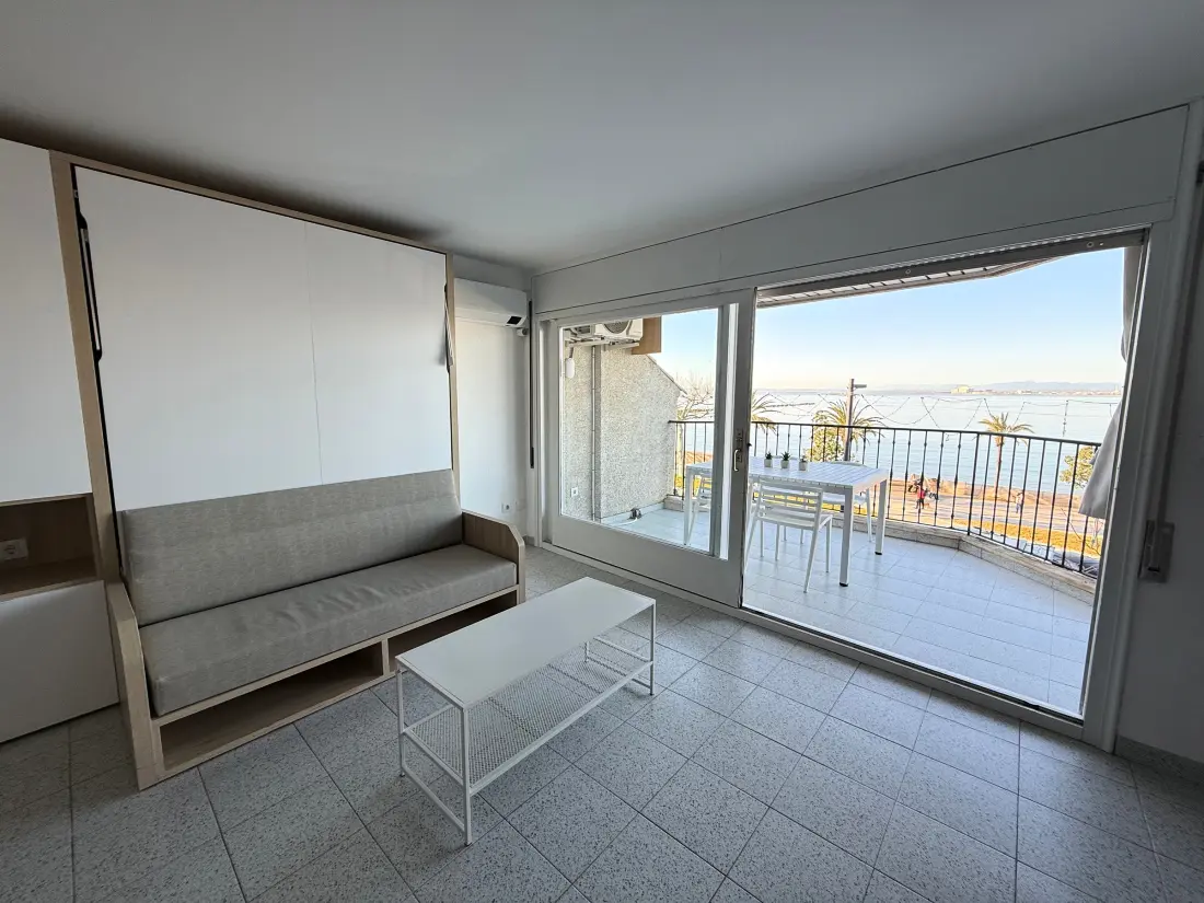 Location de Vacances Roses 669