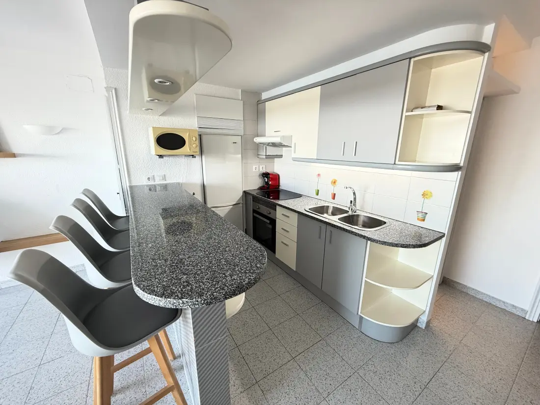 Location de Vacances Roses 669