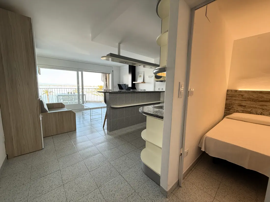 Location de Vacances Roses 669