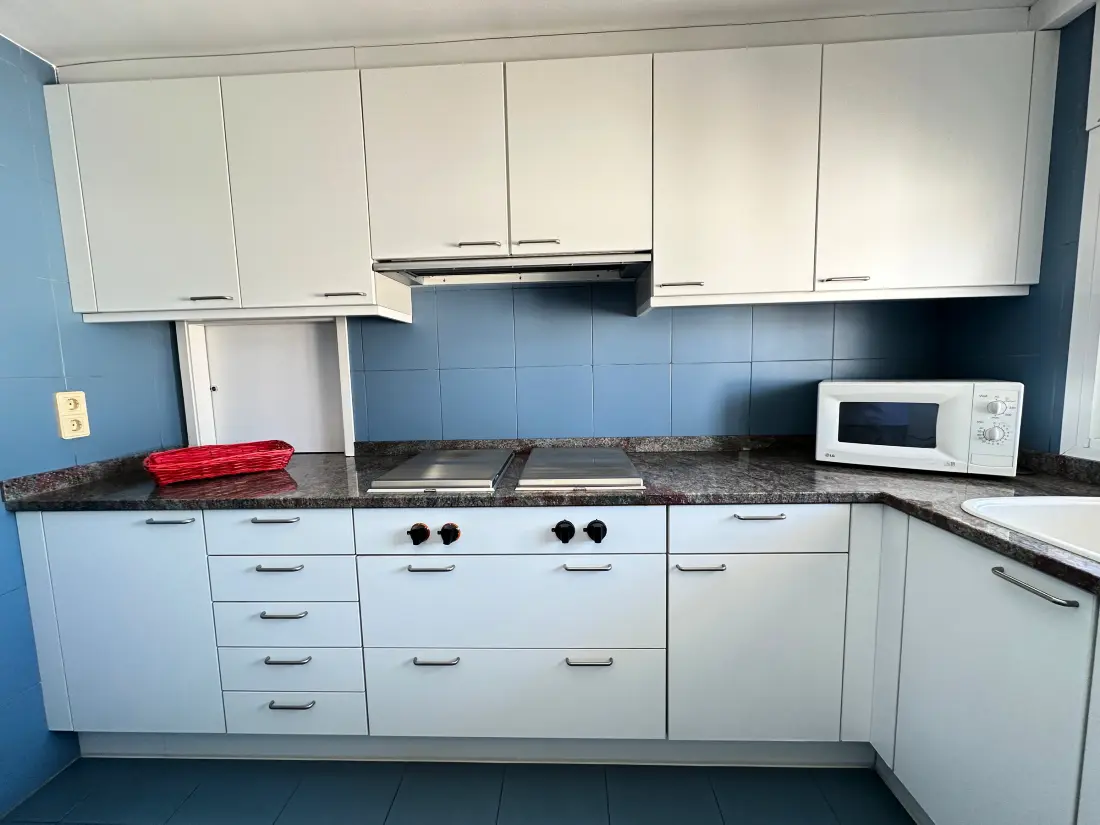 Location de Vacances Roses 670