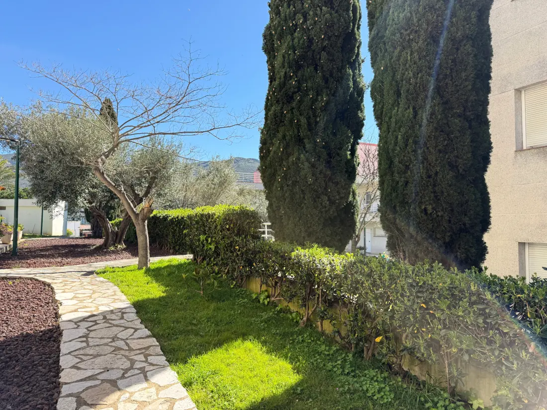 Location de Vacances Roses 673