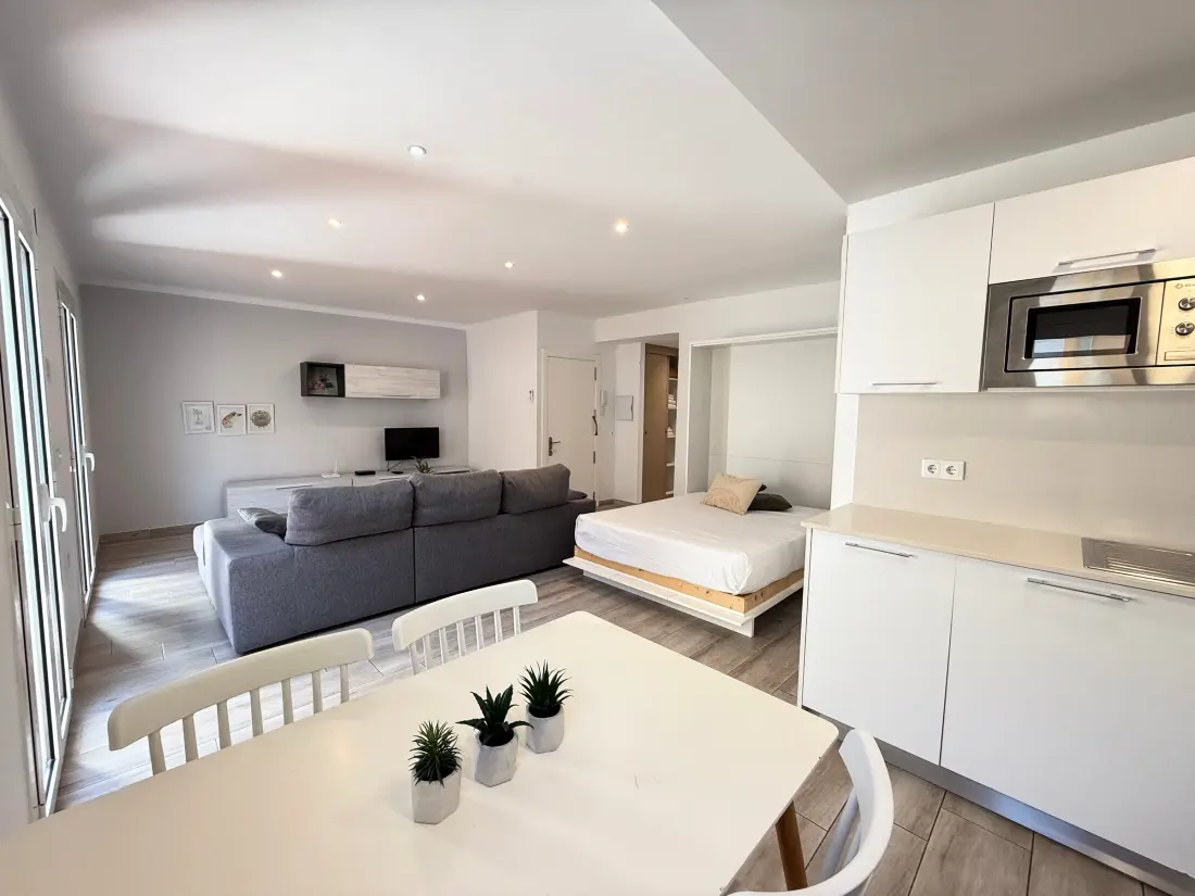 Location de Vacances Roses 677