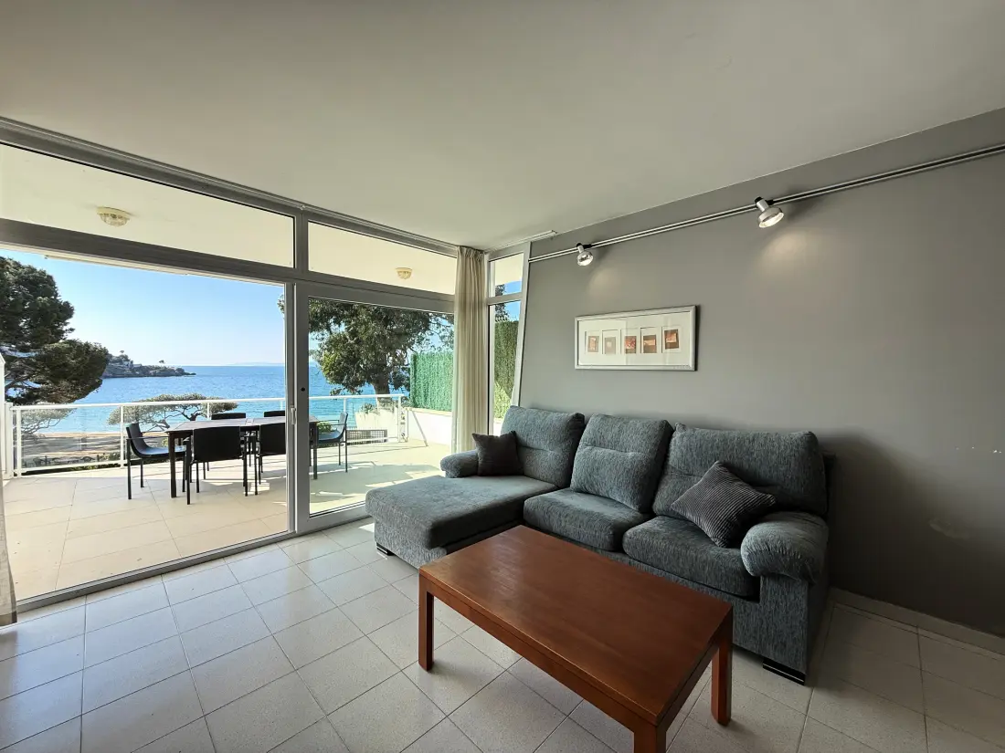 Location de Vacances Roses 680