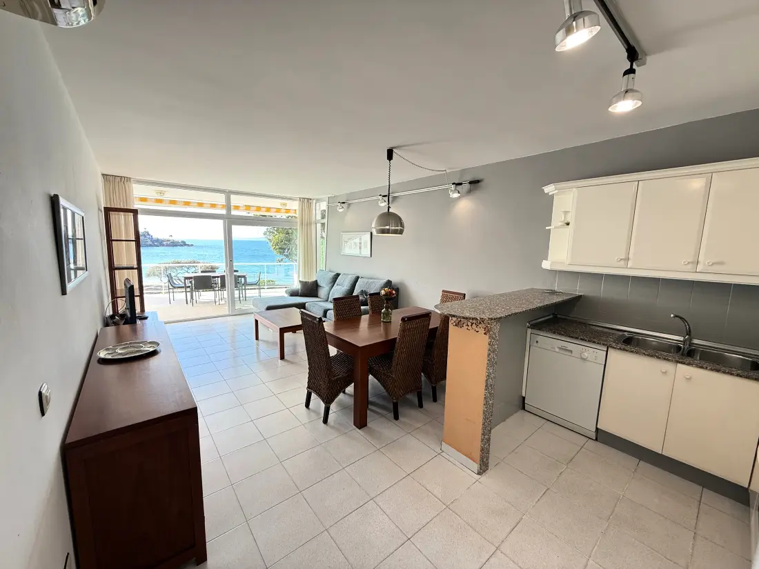Location de Vacances Roses 680