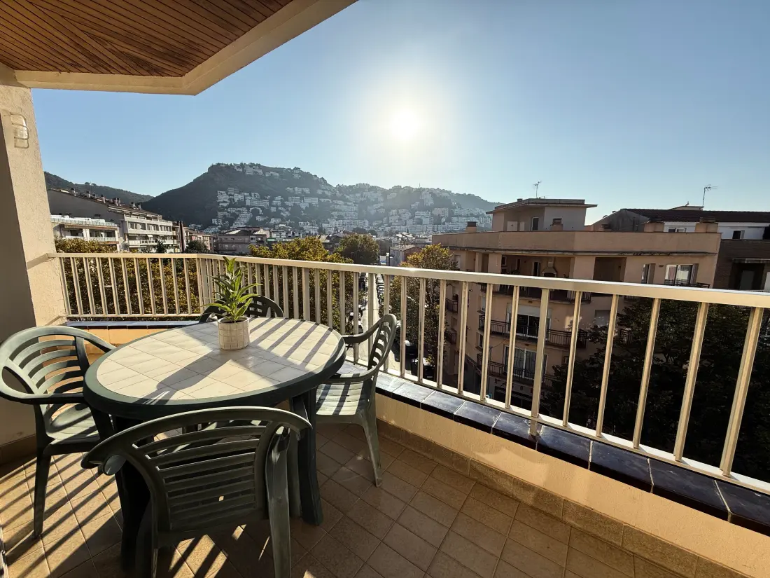 Location de Vacances Roses 687
