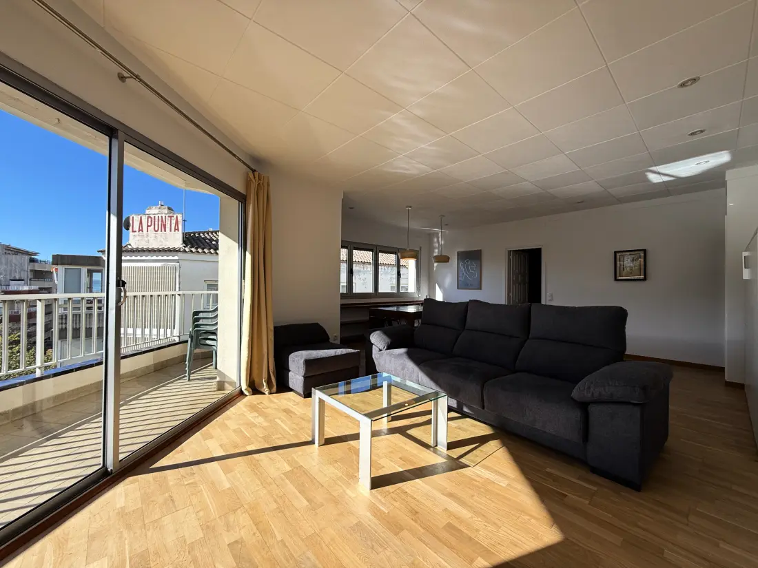Location de Vacances Roses 687