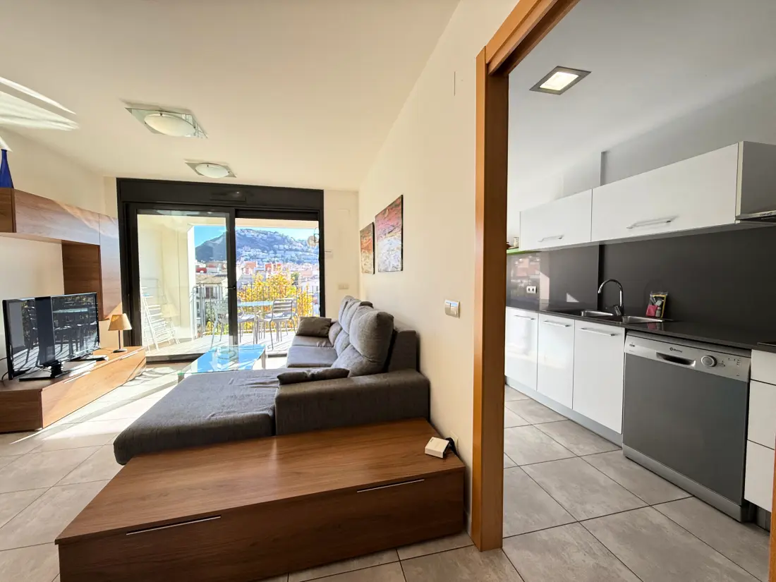 Location de Vacances Roses 689