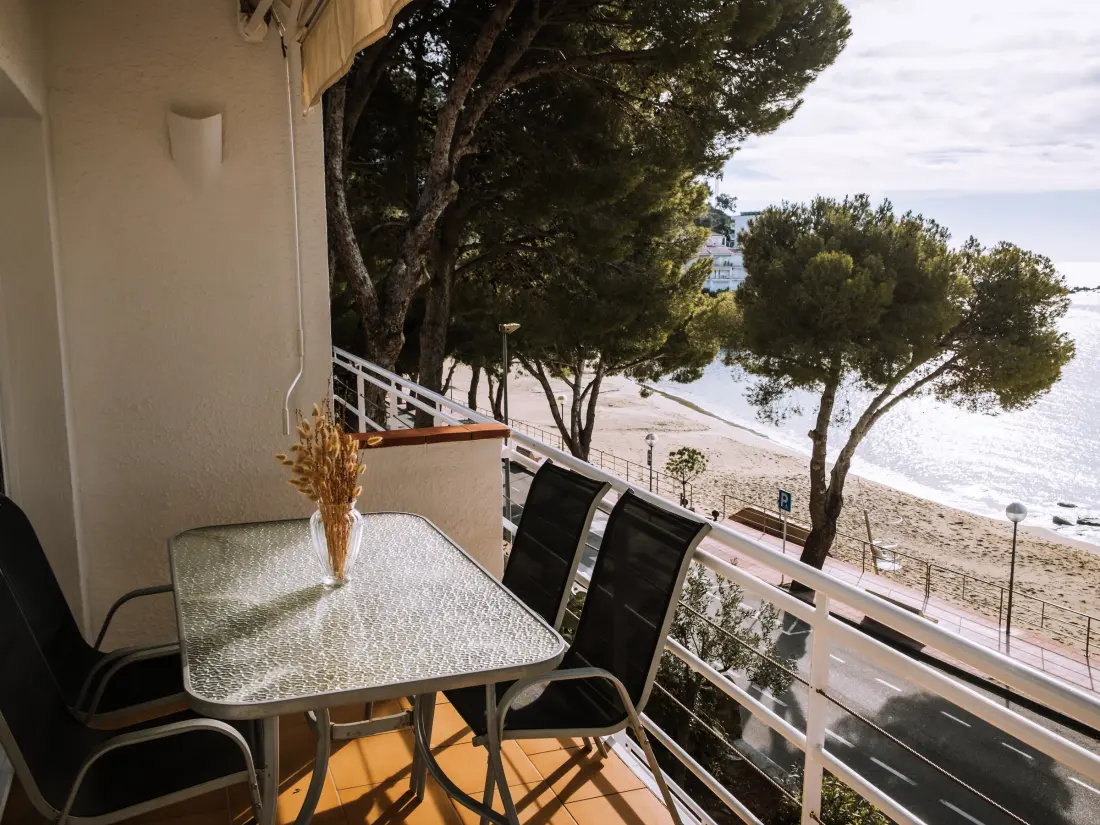 Location de Vacances Roses 691