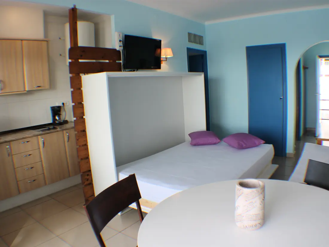 Location de Vacances Roses 691