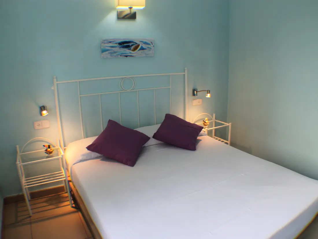 Location de Vacances Roses 691