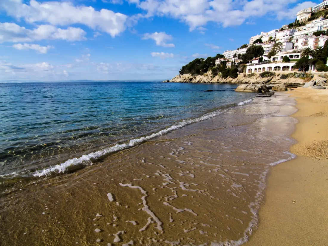 Location de Vacances Roses 691