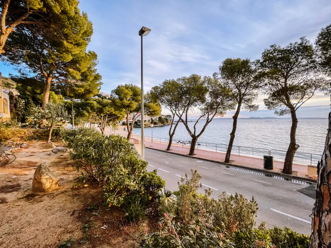 Location de Vacances Roses 691