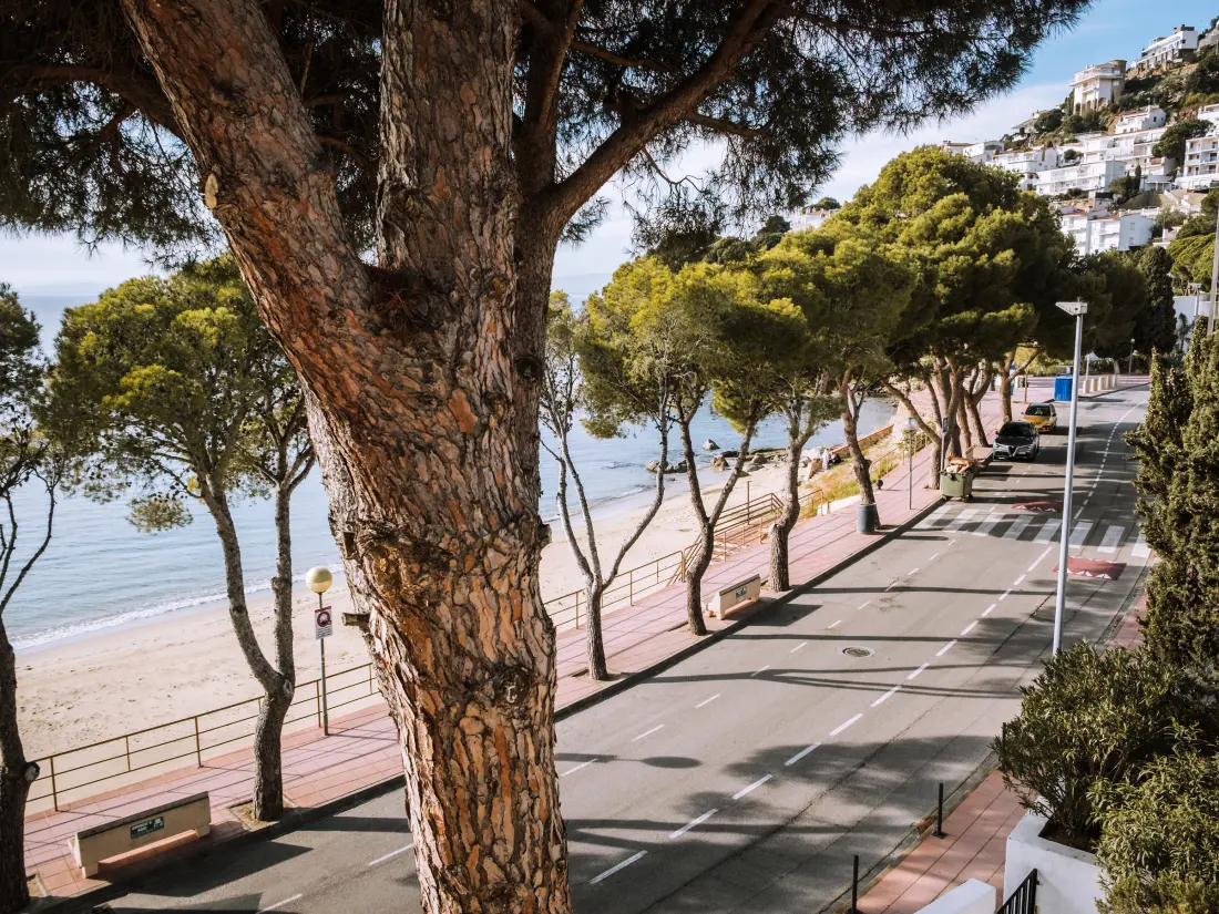 Location de Vacances Roses 691