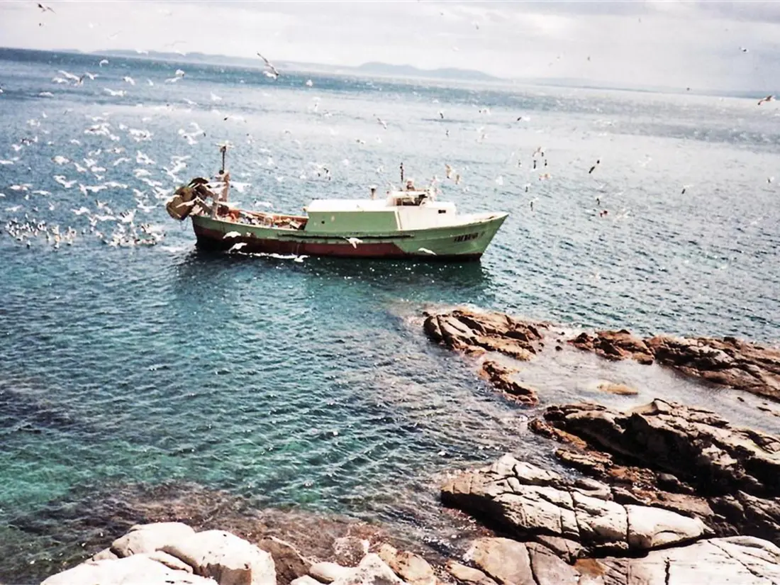 Location de Vacances Roses 692