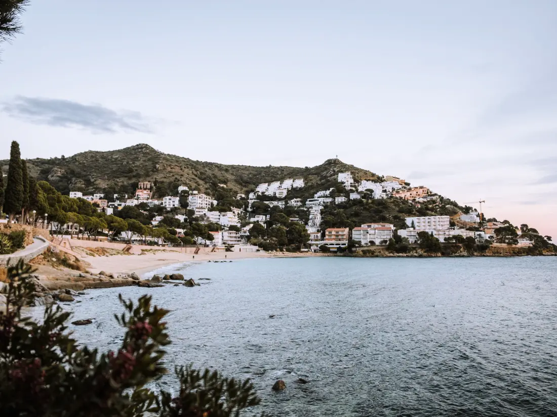 Location de Vacances Roses 697