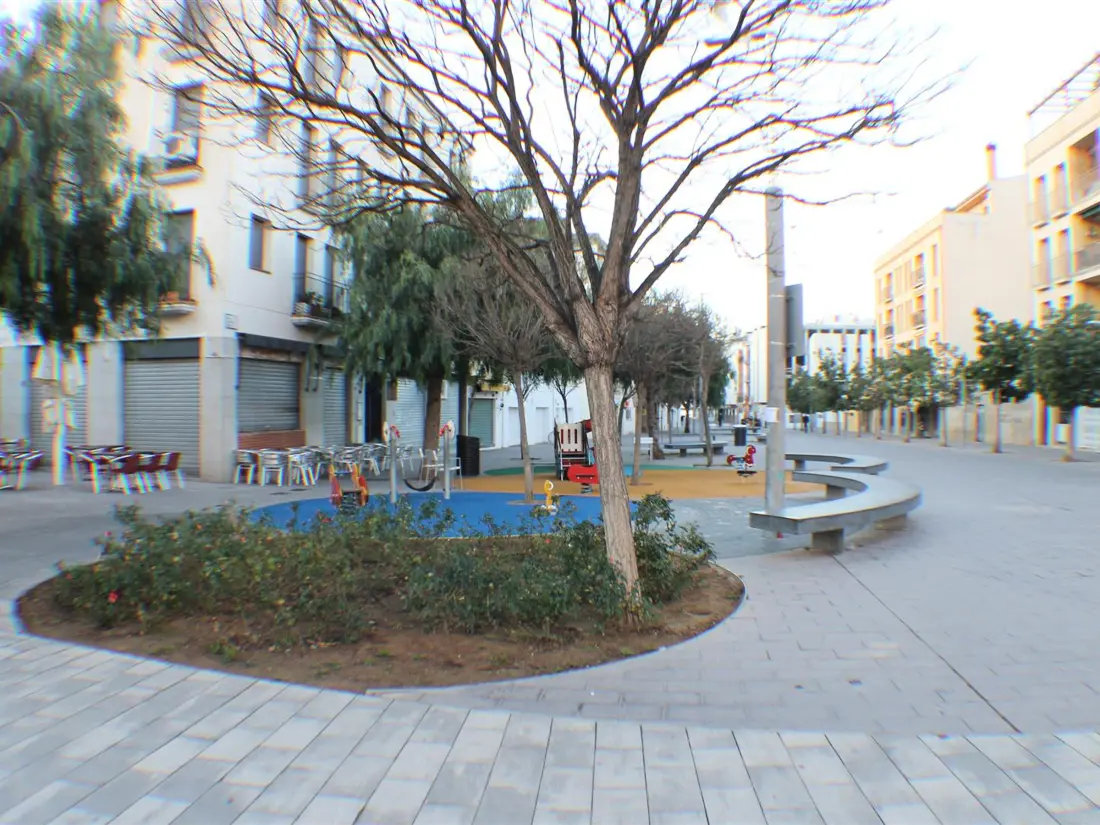 Location de Vacances Roses 701